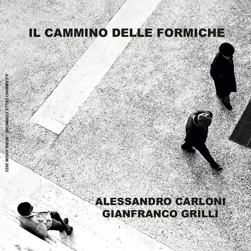 Copertina di Il cammino delle formiche