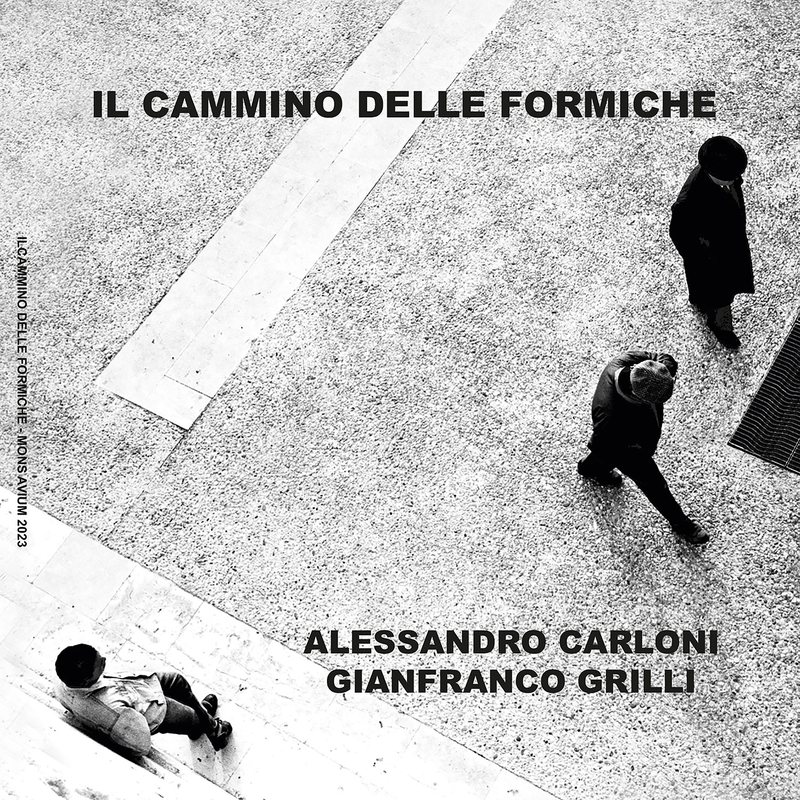 Copertina di Il cammino delle formiche